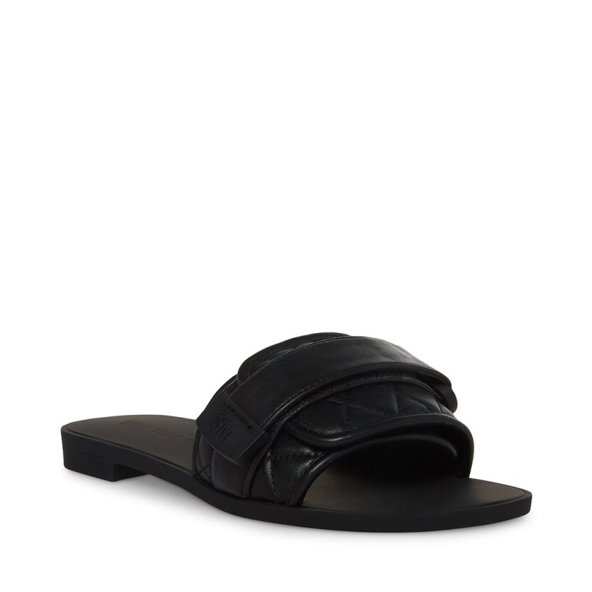 Black Steve Madden Janelle Women\'s Slides | PH 3142GFI